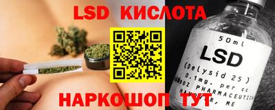 ешки Кингисепп