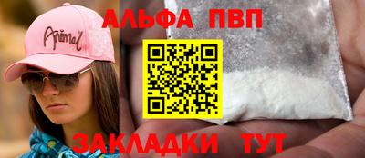 ешки Кингисепп