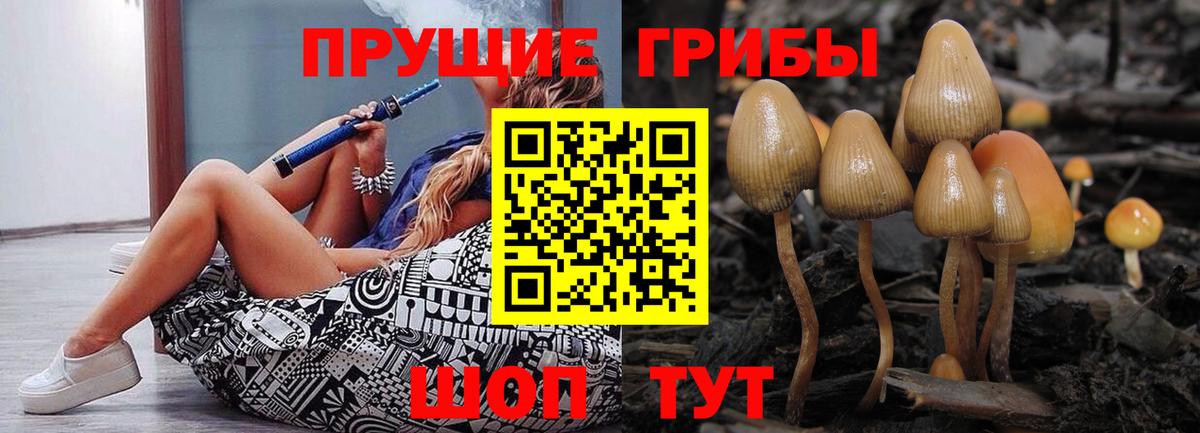 Псилоцибиновые грибы GOLDEN TEACHER  Галлюциногенные грибы мухоморы  Королёв  купить наркотики сайты  Вход с VPN 